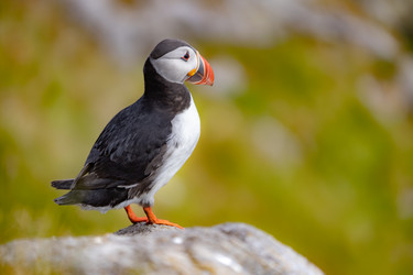 Similar image 22142508