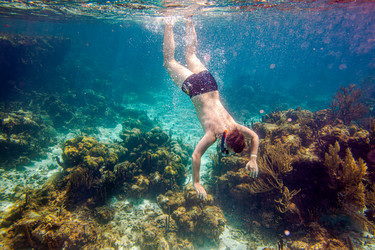 Similar image 22142509