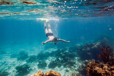 Similar image 22142656