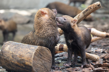 Similar image 22142660