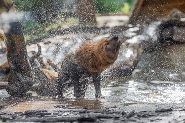 Similar image 22142663