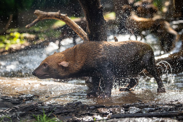 Similar image 22142665