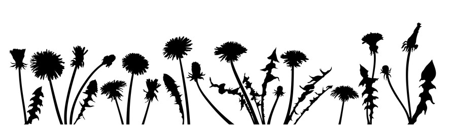 Similar image 22144079