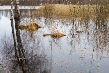 Similar image 22147691