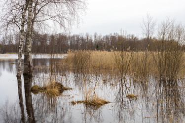 Similar image 22147692