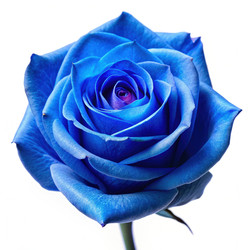 Similar image 22166695