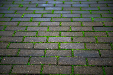 Similar image 22144118