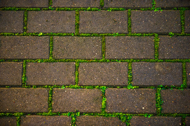 Similar image 22144124