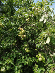 Similar image 22148648