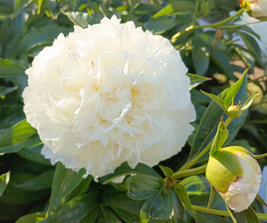 Similar image 22148649