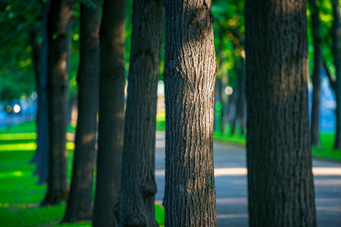 Similar image 22144133