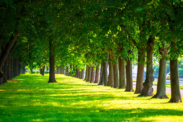 Similar image 22144141