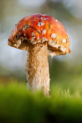 Similar image 22144182