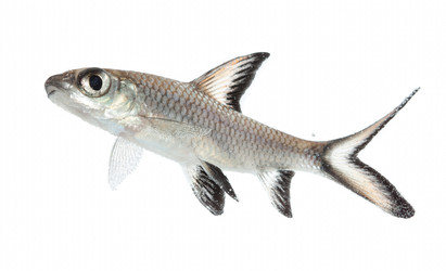 Similar image 22144188