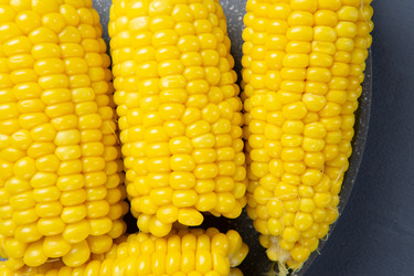 Similar image 22149216