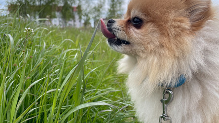 Similar image 22142517