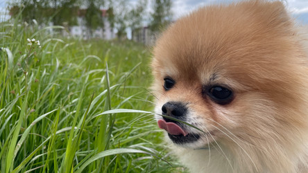 Similar image 22142518