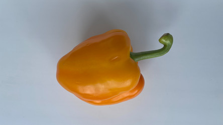 Similar image 22142521