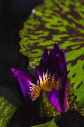 Similar image 22150042