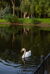 Similar image 22148831