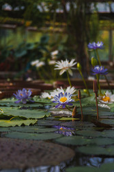 Similar image 22148832