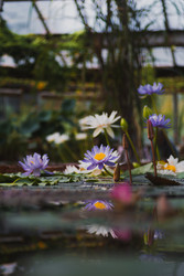 Similar image 22148650