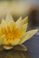 Similar image 22148840