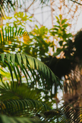 Similar image 22148844