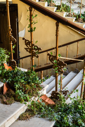 Similar image 22148845