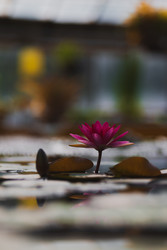 Similar image 22147926