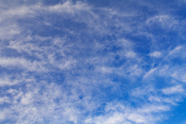 Similar image 22154620