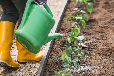 Similar image 22151014