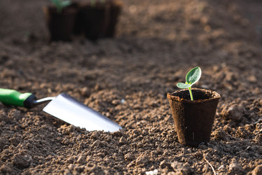 Similar image 22151017