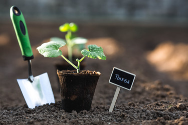 Similar image 22151018