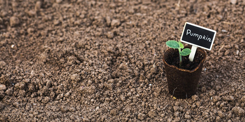 Similar image 22151019