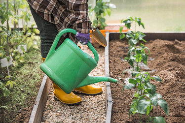 Similar image 22151020