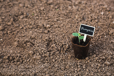 Similar image 22151021