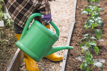 Similar image 22151022