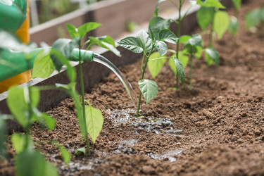 Similar image 22151024