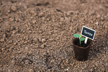 Similar image 22151025