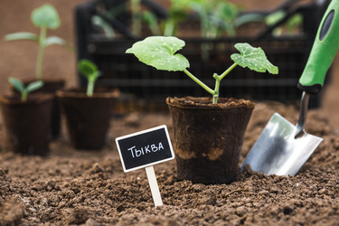 Similar image 22151027