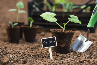 Similar image 22151029