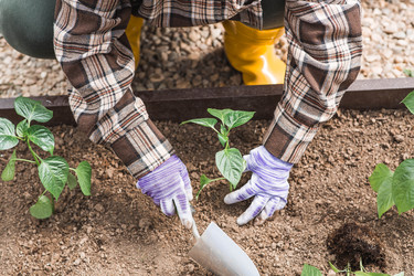 Similar image 22151030