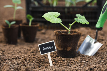 Similar image 22151031