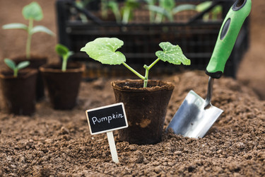 Similar image 22151033