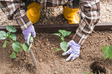 Similar image 22151034