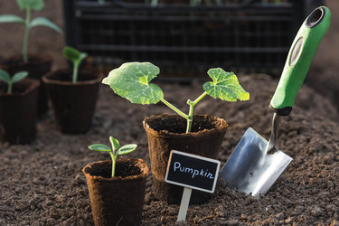 Similar image 22151035