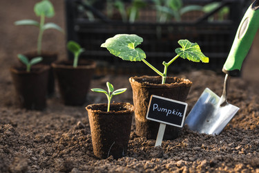 Similar image 22151361