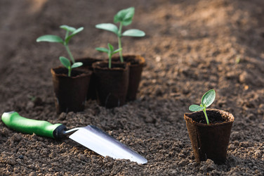 Similar image 22151362