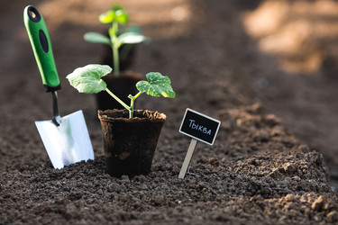 Similar image 22151363